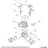 Asm-Fuel Rail by Polaris 1208691 Fuel Hose / Line