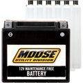 Battery AGM Maintenance Free 310 CCA by Moose