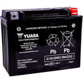 Battery High Performance AGM Maintenance Free by Yuasa