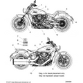 Body, Emblems/Decals All Options - 2020 Indian Scout 1200/Anniversary
