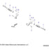 Chassis, Footpeg, Passenger All Options - 2021 Indian Chieftain Premium Schematic-23131 OEM Schematic