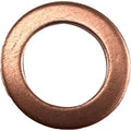 Oil Drain Plug Copper Washer by Polaris