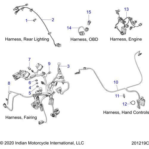 Electrical, Wire Harness 2 All Options - 2021 Indian Challenger Standard Schematic-23653 OEM Schematic