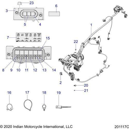 Electrical, Wire Harness 2 All Options - 2021 Indian Springfield Dark Horse Intl Schematic-22227 OEM Schematic