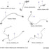 Electrical, Wire Harness 2 All Options - 2022 Indian Springfield 116 Schematic-20249 OEM Schematic