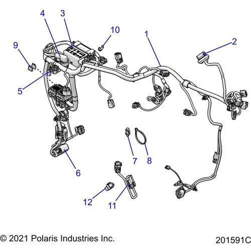 N/A OEM Schematic Electrical, Wire Harness All Options - 2022 Indian Scout Rogue Schematic-20501
