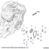 Engine, Cam Chain & Sprockets All Options - 2022 Indian Springfield 116 Schematic-20250 OEM Schematic