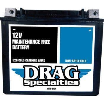 Factory-Activated High-Performance AGM Maintenance-Free Battery YTX20HL by Drag Specialties 2113-0794 Battery