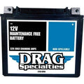 Factory-Activated High-Performance AGM Maintenance-Free Battery YTX20HL by Drag Specialties