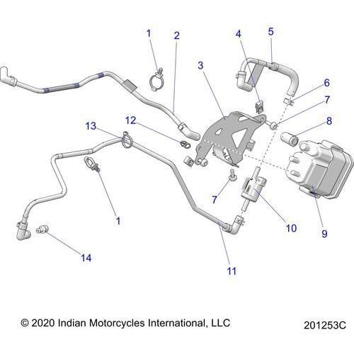 Fuel System, Evap 50St/Intl - 2022 Indian Chief Bobber Dark Horse 116 Schematic-21763 OEM Schematic