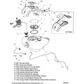 Fuel System, Fuel Tank Asm. N19traaa All Options - 2019 Indian Roadmaster/Elite