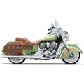 Indian Willow Green Paint - 670