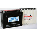 Maintenance Free Battery by Fire Power