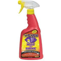Mist-N-Shine 22 oz by Wizards