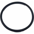 O-Ring 1.612 Id by Polaris N73000000 OEM O-Ring