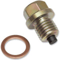 Victory Magnetic Oil Drain Plug by Big Bike Parts