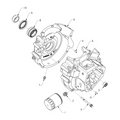 Plug Drain by Polaris