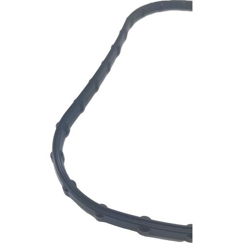 Seal, Fuel, Pfa by Polaris 5414830 OEM Seal