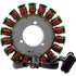 Witchdoctors Stator for 02-06 Victory by RM Stator RMS010-104709